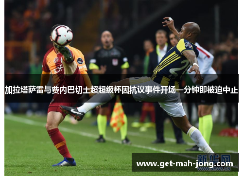 加拉塔萨雷与费内巴切土超超级杯因抗议事件开场一分钟即被迫中止 加拉塔萨雷与费内巴切土超超级杯因抗议事件开场一分钟即被迫中止